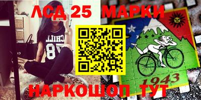 Альфа ПВП Будённовск