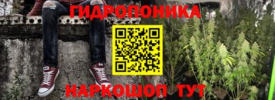 Альфа ПВП Будённовск