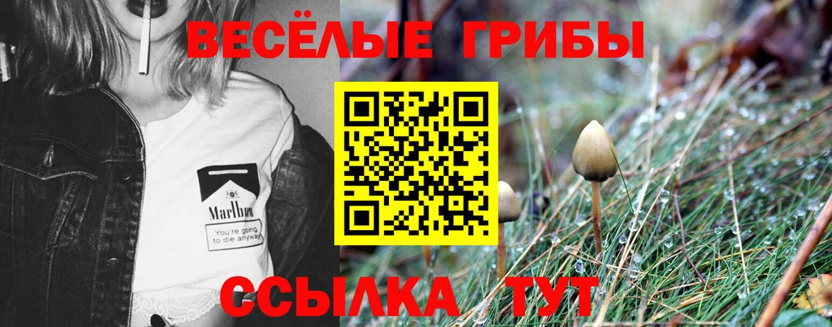 Обь  закладки  Вход с VPN  Галлюциногенные грибы Psilocybe 