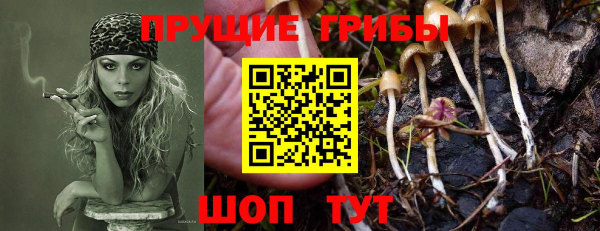 Галлюциногенные грибы ЛСД Обь